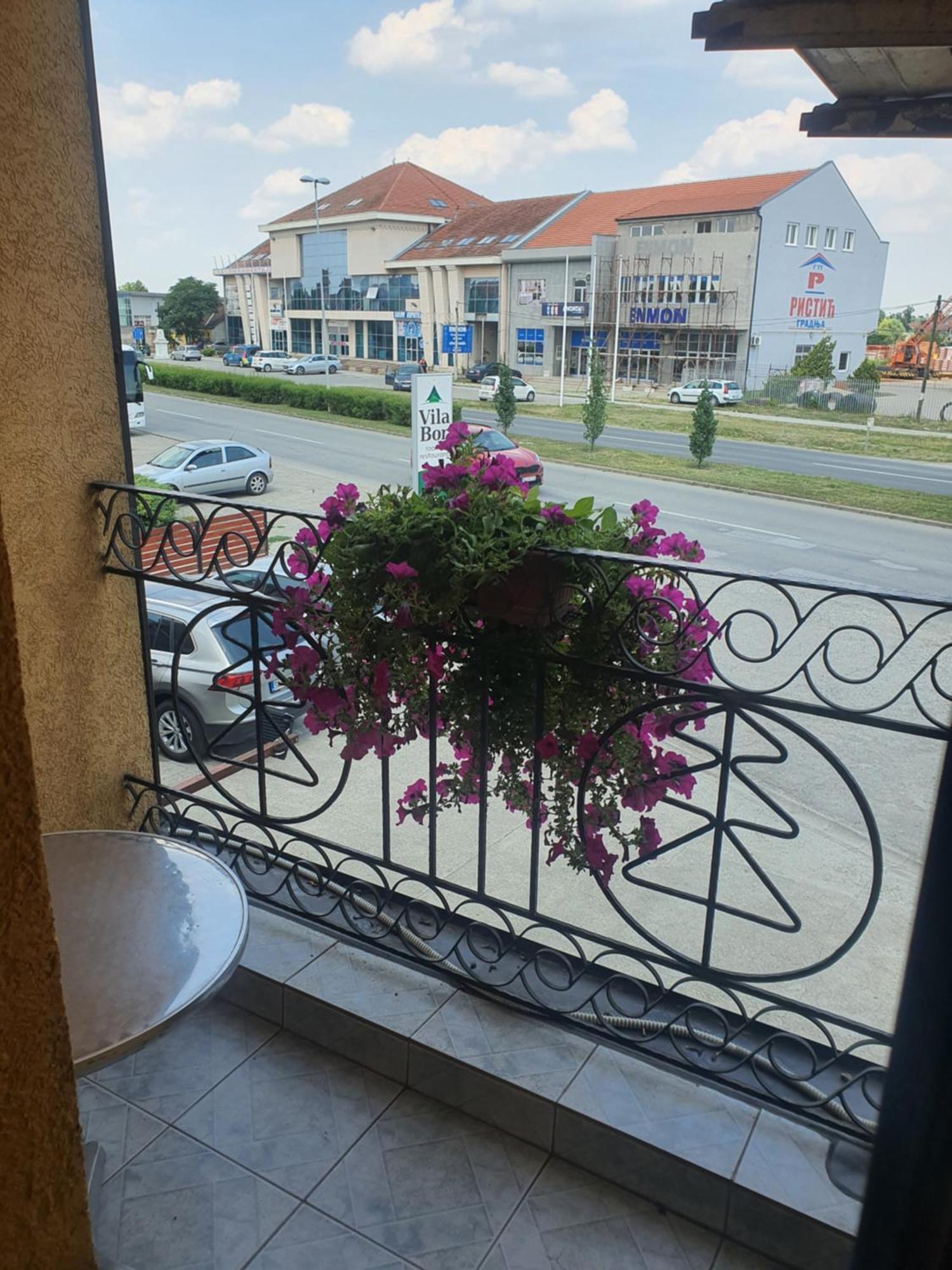 Guest House Vila Bor Novi Sad Exterior foto